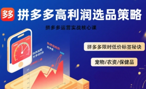 拼多多选品暴利技术实战课，拼多多高利润选品策略，拼多多限时低价标签秘诀-zhangyuwc