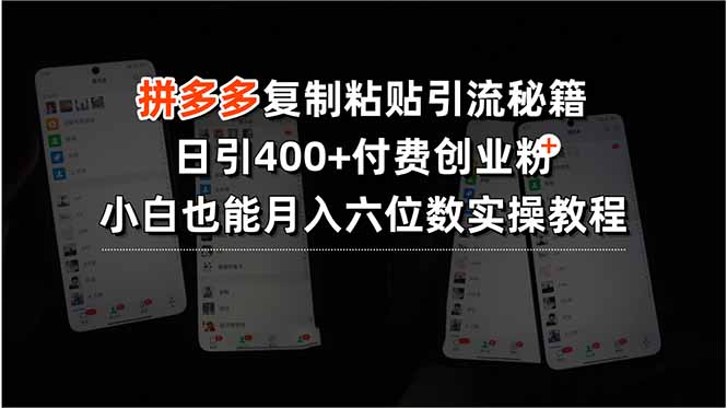 拼多多复制粘贴引流秘籍，日引400+付费创业粉，小白也能月入六位数实操…-zhangyuwc