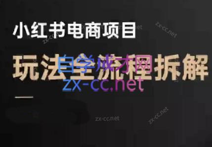 菲菲老师·小红书电商玩法(更新7月)-zhangyuwc