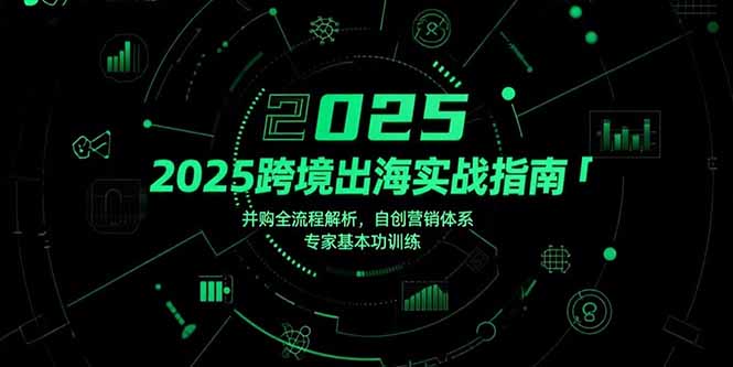 2025跨境出海实战指南，并购全流程解析，自创营销体系，专家基本功训练-zhangyuwc