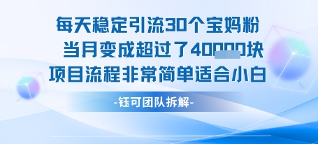 每天稳定引流30个人 当月变成超过了4个W项目流程非常简单适合小白-zhangyuwc