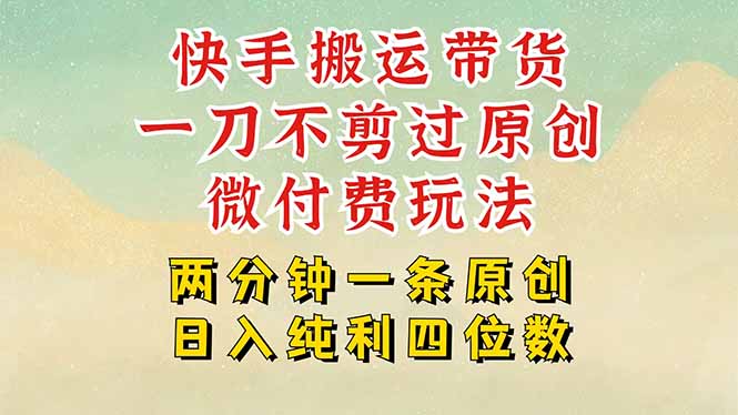 快手黑科技搬运带货，一刀不剪过原创，微付费投流玩法，轻松日入四位数…-zhangyuwc
