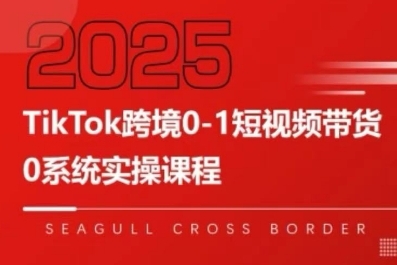 TikTok跨境0-1短视频带货，系统拆解TikTok跨境带货全链路，实现跨境可持续盈利-zhangyuwc
