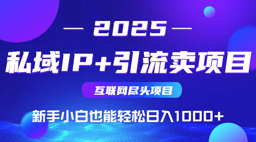2025网创尽头项目，私域IP+引流，新手小白也能在家日入1000+-zhangyuwc