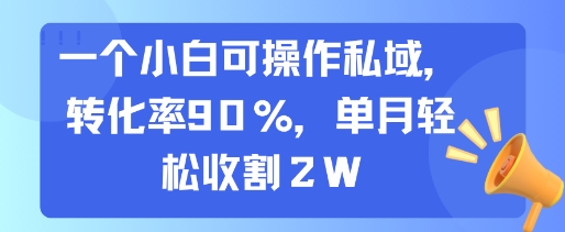 一个小白可操作私域，转化率90%，单月轻松收割2W-zhangyuwc