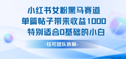 小红书女粉黑马赛道单篇帖子带来收益1k+，特别适合0基础的小白-zhangyuwc