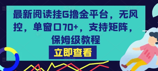 最新阅读挂G撸金平台，无风控，单窗口70+，支持矩阵，保姆级教程【揭秘】-zhangyuwc