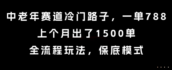中老年赛道冷门路子，一单788，上个月出了1500单，全流程玩法，保底模式【揭秘】-zhangyuwc