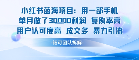 小红书蓝海项目，一部手机单月做了3W利润，小白也能月入过1W用户认可度高成交多-zhangyuwc