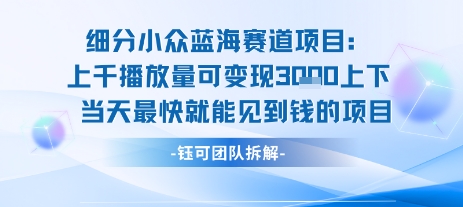 小众蓝海赛道项目：当天变现1k+适合新手操作 +适合长期玩-zhangyuwc