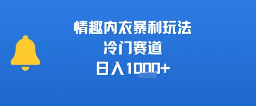 情趣内衣暴利玩法，冷门赛道，日入1k+-zhangyuwc