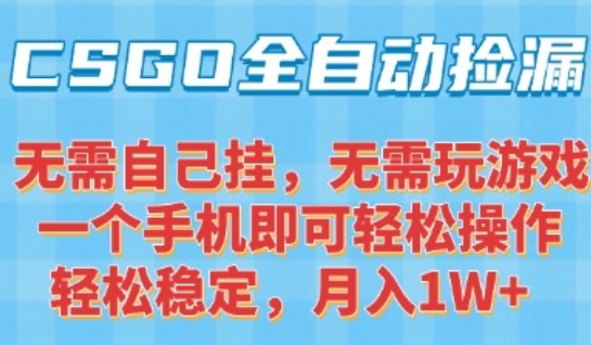 CSGO自动捡漏项目，最新独家玩法，一个手机可操作，新手小白轻松月入1W+，操作简单易上手【揭秘】-zhangyuwc