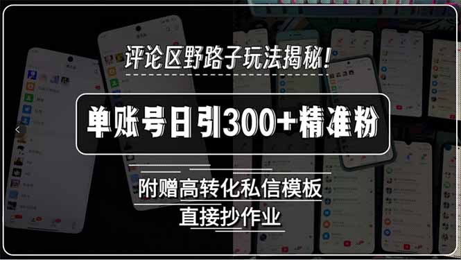 评论区野路子玩法揭秘！单账号日引300+精准粉，附赠高转化私信模板，直…-zhangyuwc