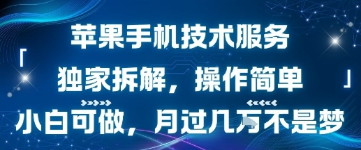 苹果手机技术服务，独家拆解，操作简单，小白可做，月过1W不是梦-zhangyuwc