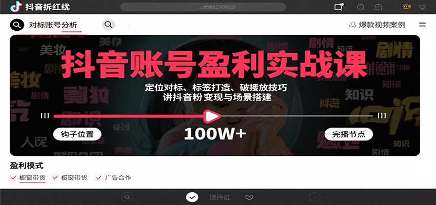 抖音账号盈利实战课，定位对标、标签打造、破播放技巧，讲涨粉变现与场景搭建-zhangyuwc