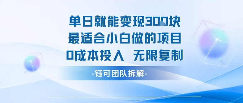 单日就能变现3张最适合小白做的项目0成本投入 无限复制-zhangyuwc
