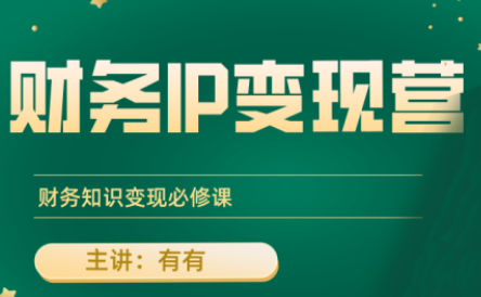 有有老师·财务IP变现营，财务知识变现必修课-zhangyuwc