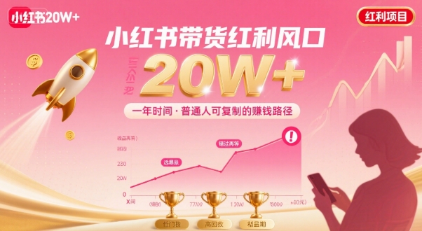 一年时间靠小红书带货项目年入20w+，最不能错的大红利项目-zhangyuwc