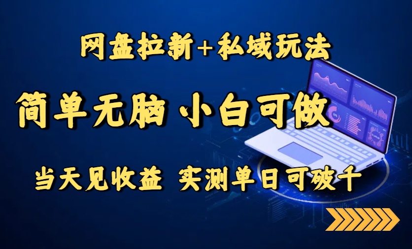 网盘拉新+私域玩法，简单无脑，小白可做，当天见收益，实测单日可破千-zhangyuwc