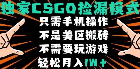 CSGO自动捡漏项目，最新独家玩法，不是美区搬砖，不需要了解和玩游戏，新手小白轻松月入1W+【揭秘】-zhangyuwc