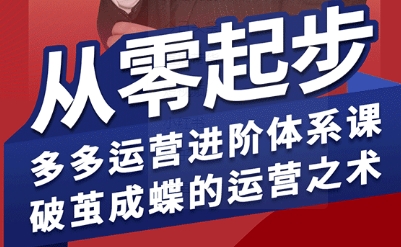拼多多运营进阶系统课，从零起步，多多运营进阶体系课，破茧成蝶的运营之术-zhangyuwc