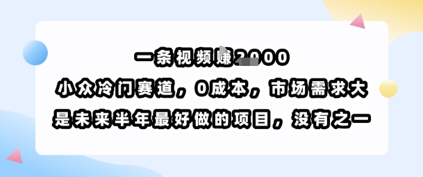 一条视频挣1k，小众冷门赛道，0成本，市场需求大，是未来半年最好做的项目，没有之一-zhangyuwc