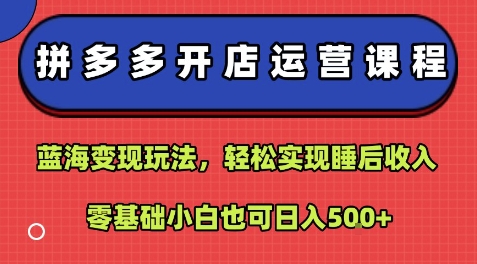 拼多多开店运营课程：蓝海变现玩法，轻松实现睡后收入，零基础小白也可日入5张-zhangyuwc