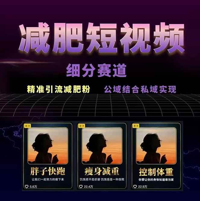 图片[2]-减肥短视频运营实战课：含素材制作、剪映教学，讲精准引流、变现设计与内容模板技巧-zhangyuwc