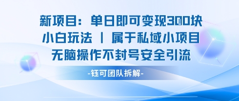 新项目单日即可变现3张的小白玩法无脑操作不封号安全引流-zhangyuwc