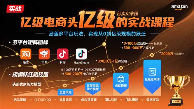 亿级电商头部卖家的实战课程：涵盖多平台玩法，实现从0到亿级规模的跃迁-zhangyuwc