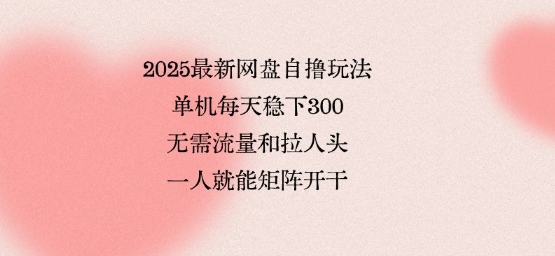 2025最新网盘自撸玩法，单机每天稳下3张，无需流量和拉人头，一个人就可轻松矩阵，全网独一份【揭秘】-zhangyuwc