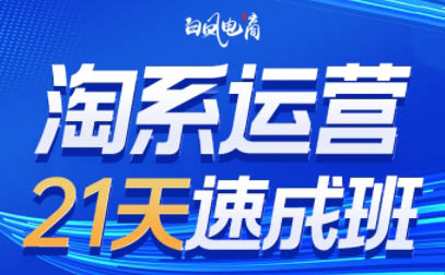 白凤电商·淘系运营21天速成班(更新8月)-zhangyuwc