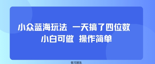 小众蓝海玩法 一天搞了四位数 小白可做 操作简单-zhangyuwc