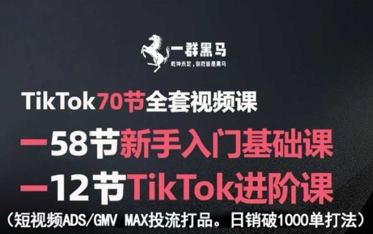 TikTok全套视频课，新手入门+进阶课，短视频ADS-GMV MAX投流打品，日销破1000单打法-zhangyuwc