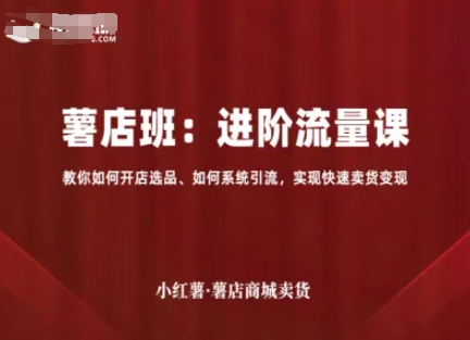 小红薯薯店商城卖货，进阶流量课，教你如何开店选品、如何系统引流，实现快速卖货变现-zhangyuwc